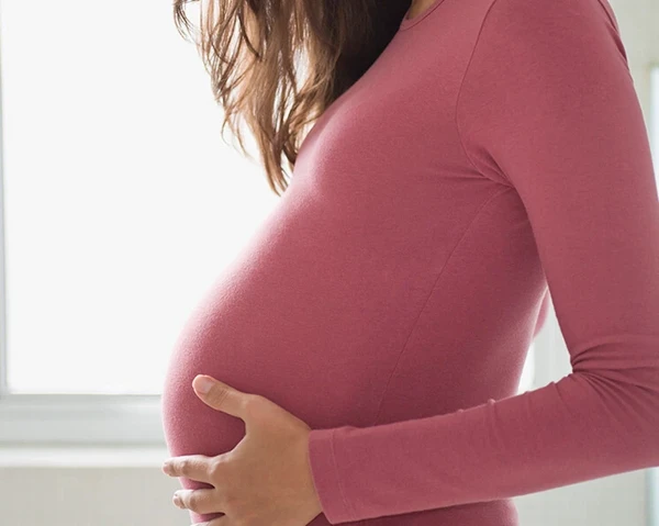 Second Trimester V1.0