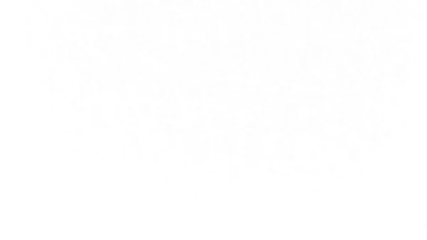 dipo 1.0
